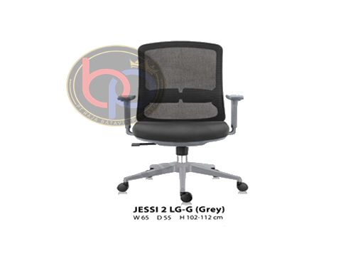JESSI 2 LG-G